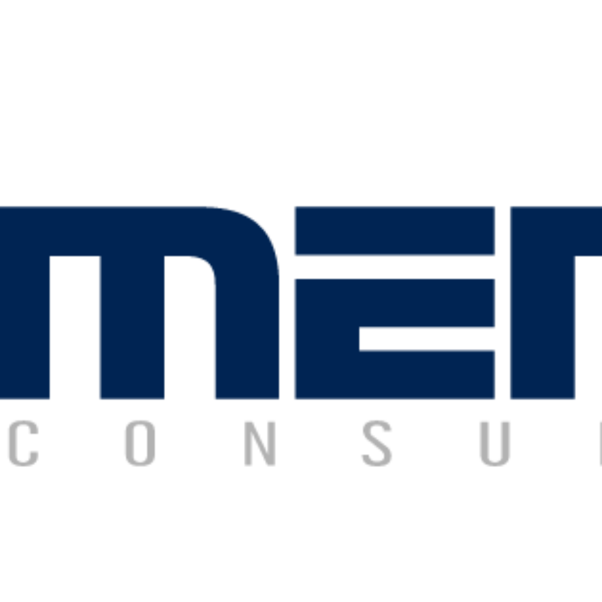 Wir sind die Mentix Consulting GmbH