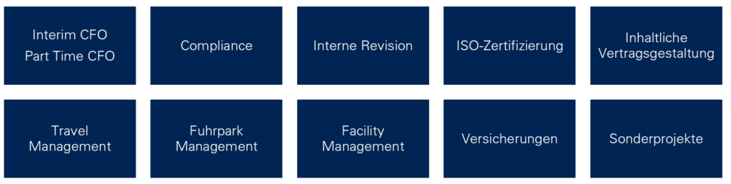 Übersicht der unterschiedlichen Dienstleistungen im Bereich "Professional Services".